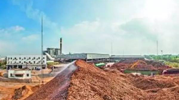 生物质循环流化床锅炉