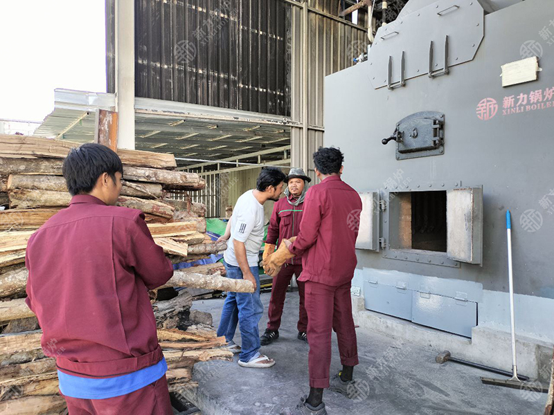 绿色能源助力！2121非凡生物质锅炉DZH4在柬埔寨食品厂点火试运行成功！