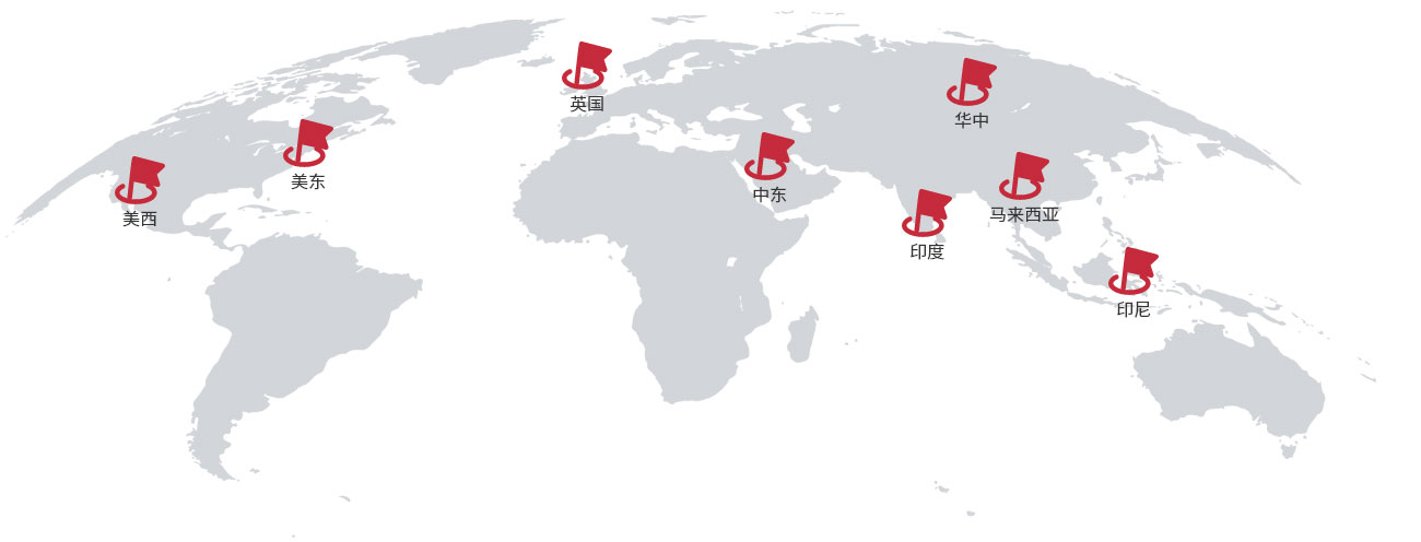 2121非凡锅炉遍布全球